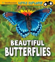Beautiful Butterflies цена и информация | Книги для подростков и молодежи | 220.lv