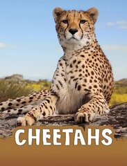 Cheetahs cena un informācija | Grāmatas pusaudžiem un jauniešiem | 220.lv