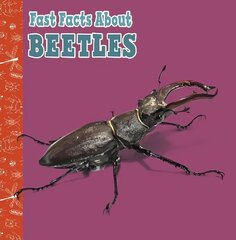 Fast Facts About Beetles цена и информация | Книги для подростков и молодежи | 220.lv