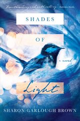 Shades of Light - A Novel: A Novel cena un informācija | Fantāzija, fantastikas grāmatas | 220.lv