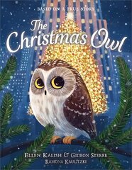 Christmas Owl cena un informācija | Grāmatas mazuļiem | 220.lv