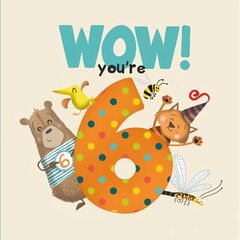 WOW! You're Six birthday book цена и информация | Книги для малышей | 220.lv