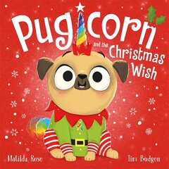 Magic Pet Shop: Pugicorn and the Christmas Wish цена и информация | Книги для самых маленьких | 220.lv