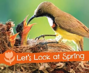 Let's Look at Spring: A 4D Book цена и информация | Книги для подростков и молодежи | 220.lv