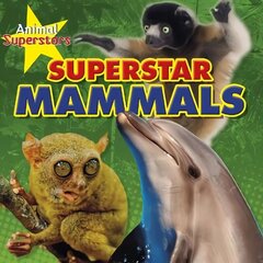 Mammal Superstars цена и информация | Книги для подростков и молодежи | 220.lv