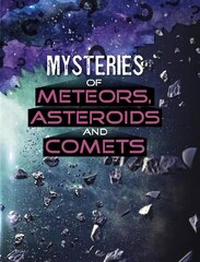 Mysteries of Meteors, Asteroids and Comets цена и информация | Книги для подростков  | 220.lv