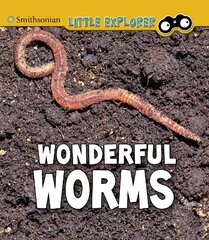 Wonderful Worms cena un informācija | Grāmatas pusaudžiem un jauniešiem | 220.lv