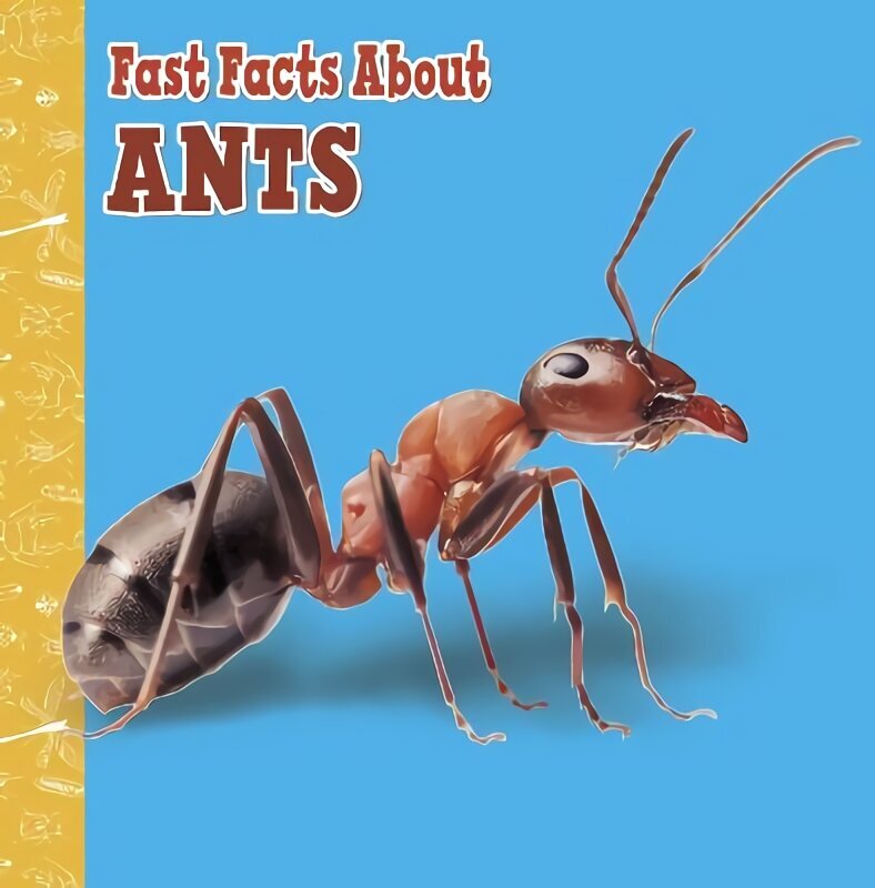 Fast Facts About Ants цена и информация | Grāmatas pusaudžiem un jauniešiem | 220.lv