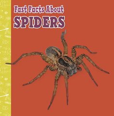 Fast Facts About Spiders цена и информация | Книги для подростков  | 220.lv