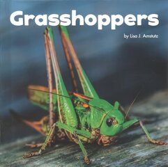 Grasshoppers cena un informācija | Grāmatas pusaudžiem un jauniešiem | 220.lv