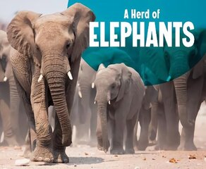 Herd of Elephants цена и информация | Книги для подростков и молодежи | 220.lv