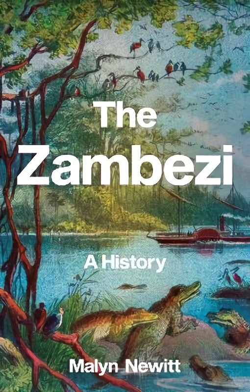 Zambezi: A History cena un informācija | Vēstures grāmatas | 220.lv