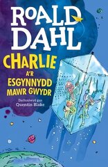 Charlie a'r Esgynnydd Mawr Gwydr cena un informācija | Grāmatas pusaudžiem un jauniešiem | 220.lv