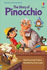 Pinocchio цена и информация | Книги для подростков и молодежи | 220.lv