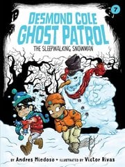 Sleepwalking Snowman cena un informācija | Grāmatas pusaudžiem un jauniešiem | 220.lv