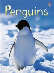 Penguins цена и информация | Книги для подростков и молодежи | 220.lv
