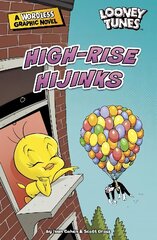 High-Rise Hijinks цена и информация | Книги для подростков и молодежи | 220.lv