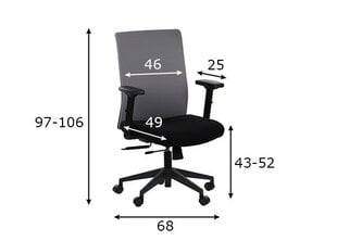 Biroja krēsls Stema Riverton F/L, melns/pelēks цена и информация | Офисные кресла | 220.lv
