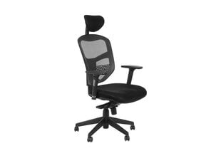 Biroja krēsls Stema HN-5038, pelēks cena un informācija | Biroja krēsli | 220.lv