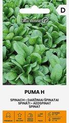Spināti puma h цена и информация | Семена овощей, ягод | 220.lv