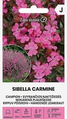 Naktssveces sibella carmine цена и информация | Семена цветов | 220.lv