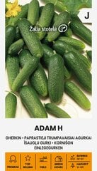 Gurķi trumpavaisiai adam h цена и информация | Семена овощей, ягод | 220.lv