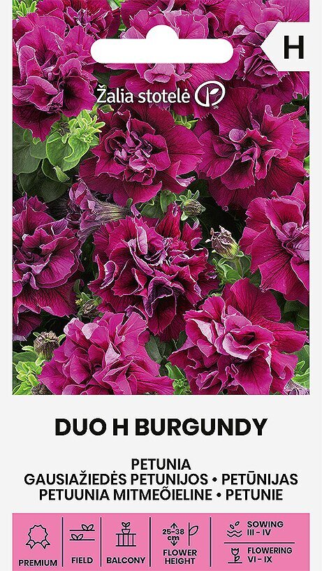 Bagātīgi ziedošā petūnija duo h burgundy cena un informācija | Puķu sēklas | 220.lv