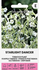 Aromatizēta tabaka starlight dancer cena un informācija | Puķu sēklas | 220.lv