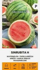 Arbūzi sinrubita h цена и информация | Семена овощей, ягод | 220.lv