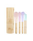 Ilu Set of 5 Makeup Brushes + Bamboo Tube цена и информация | Kosmētikas otas, sūkļi | 220.lv