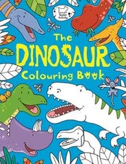 Dinosaur Colouring Book cena un informācija | Grāmatas mazuļiem | 220.lv