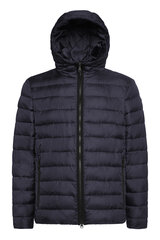 Куртка мужская Geox Dennie Hood JKT цена и информация | Мужские куртки | 220.lv