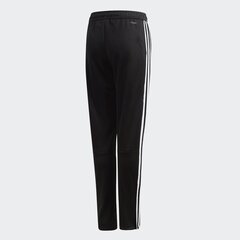 SWEATPANTS ADIDAS PERFORMANCE TIRO19 TR PNTY D95961 цена и информация | Штаны для мальчиков | 220.lv