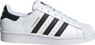 Sporta apavi adidas originals superstar j fu7712 цена и информация | Мужские ботинки | 220.lv