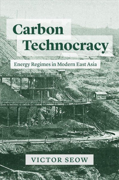 Carbon Technocracy: Energy Regimes in Modern East Asia цена и информация | Vēstures grāmatas | 220.lv