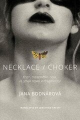 Necklace/Choker: then, meanwhile, now./a small novel in fragments/ cena un informācija | Vēstures grāmatas | 220.lv