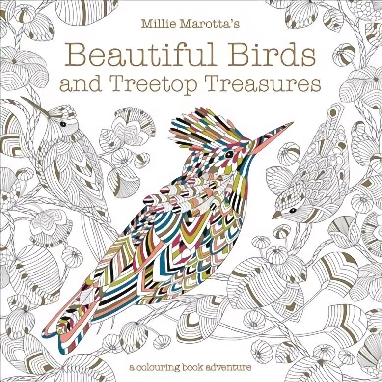 Millie Marotta's Beautiful Birds and Treetop Treasures: A colouring book adventure, Volume 5 cena un informācija | Grāmatas mazuļiem | 220.lv