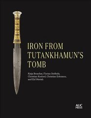 Iron from Tutankhamun's Tomb: Book Four of the Mirror Visitor Quartet цена и информация | Исторические книги | 220.lv