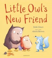 Little Owl's New Friend cena un informācija | Grāmatas mazuļiem | 220.lv
