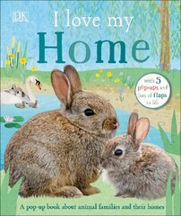 I Love My Home: A pop-up book about animal families and their homes цена и информация | Книги для самых маленьких | 220.lv