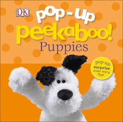 Pop-Up Peekaboo! Puppies cena un informācija | Grāmatas mazuļiem | 220.lv
