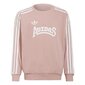 Džemperis adidas originals bērniem rozā hc4559 HC4559 cena un informācija | Jakas, džemperi, žaketes, vestes meitenēm | 220.lv