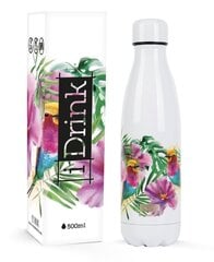 Termiskā dzeramā pudele Itotal Colibri, 500ml cena un informācija | Ūdens pudeles | 220.lv