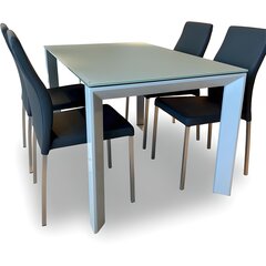 Раскладной стол Baden-Baden, grey, с закаленным стеклом цена и информация | Кухонные и обеденные столы | 220.lv