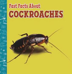 Fast Facts About Cockroaches цена и информация | Книги для подростков и молодежи | 220.lv