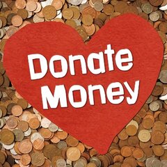 Donate Money цена и информация | Книги для подростков и молодежи | 220.lv