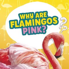 Why Are Flamingos Pink? цена и информация | Книги для подростков и молодежи | 220.lv