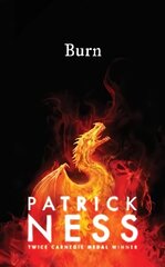 Burn цена и информация | Книги для подростков  | 220.lv
