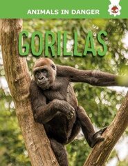 Gorillas cena un informācija | Grāmatas pusaudžiem un jauniešiem | 220.lv
