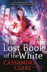 Lost Book of the White цена и информация | Книги для подростков и молодежи | 220.lv